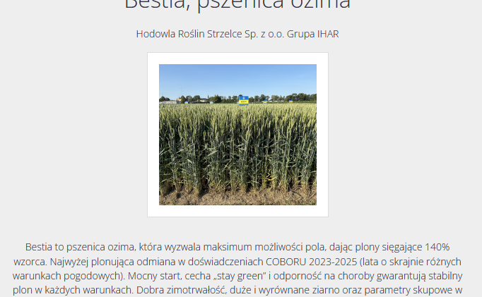 Bestia