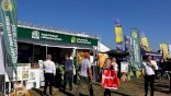 Międzynarodowa Wystawa Rolnicza AGRO SHOW 2024 w Bednarach