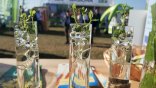 Międzynarodowa Wystawa Rolnicza AGRO SHOW 2024 w Bednarach